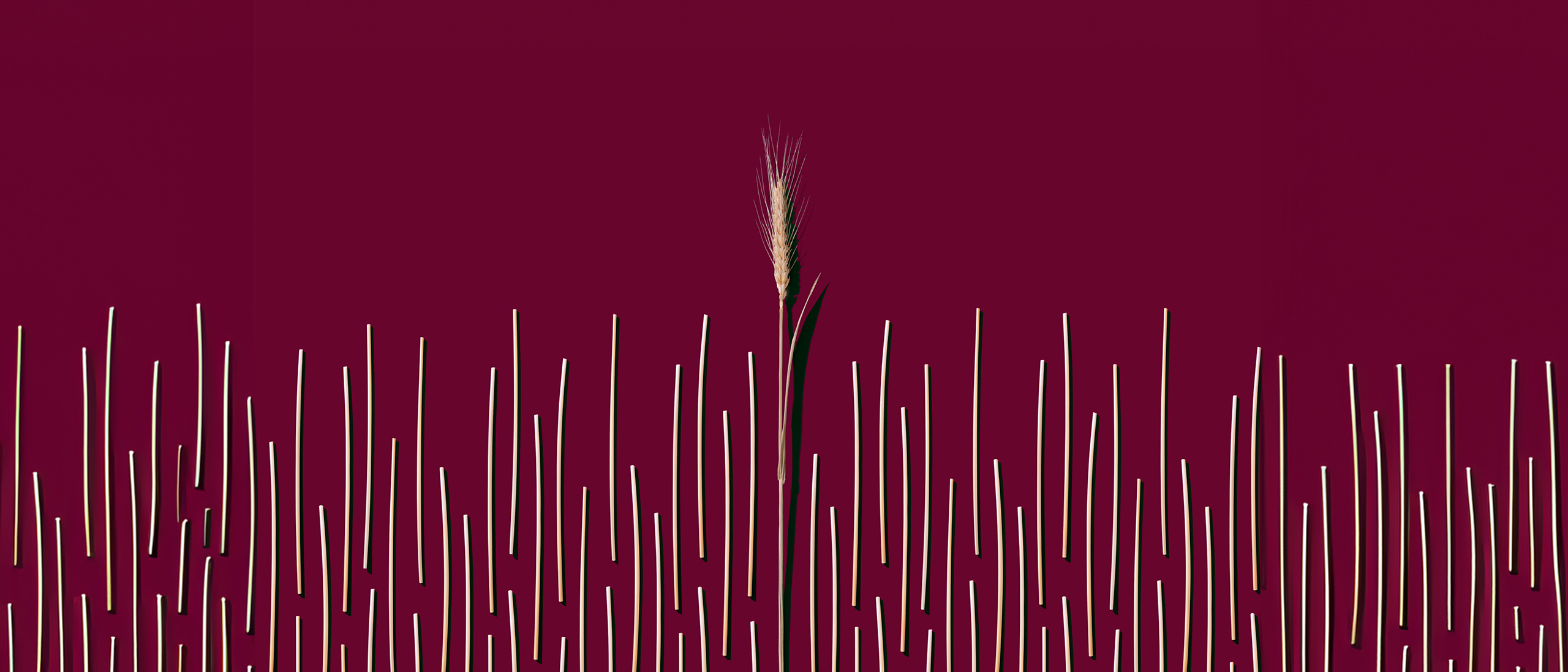 How you can achieve profitable growth